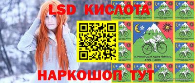 шишки Пугачёв