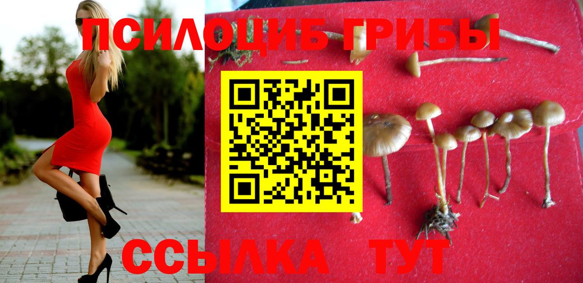 Псилоцибиновые грибы ЛСД Краснокамск